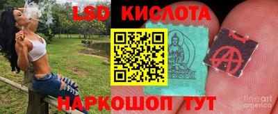 PSILOCYBIN Белорецк